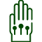 Traditional Chinese Medicine icon