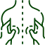 RAPID- NeuroFascial Reset