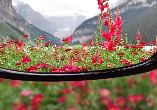 Visual Snow Syndrome Relief Through Physiotherapy