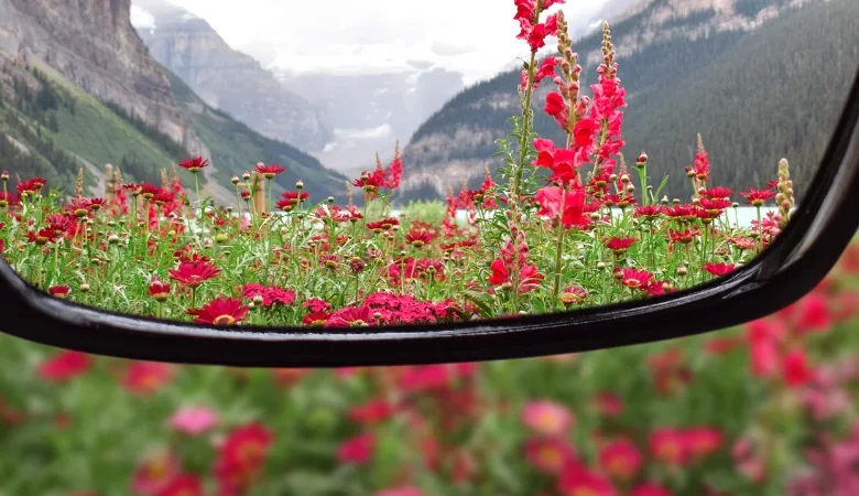 Visual Snow Syndrome Relief Through Physiotherapy